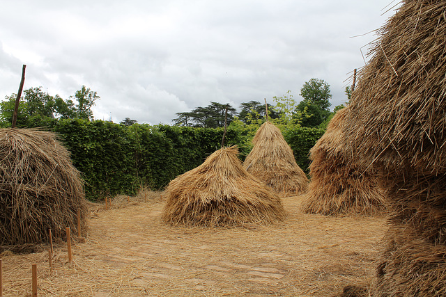 Des Meules impressionnantes - Jardin 15 (8)