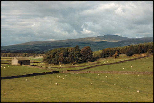 Pennine landscape