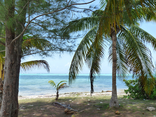 Heritage Beach