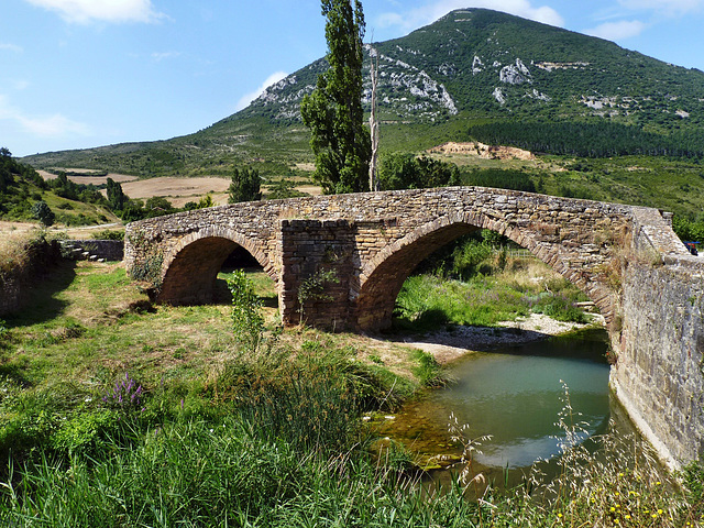 Monreal - Rio Elorz