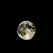 BELFORT: Pleine lune du 21 Août 2013. 03