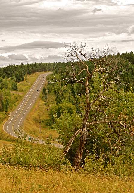 Highway 97 near 108 Mile Ranch