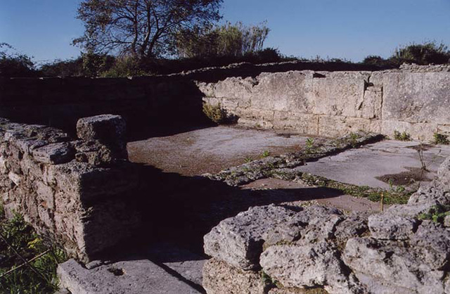 ImperialCultSanctuaryNForum2Paestum2003