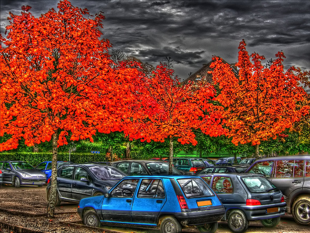 QUINGEY (25): Couleurs d'automne.