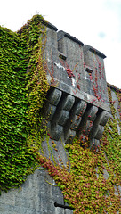 penrhyn castle, gwynedd