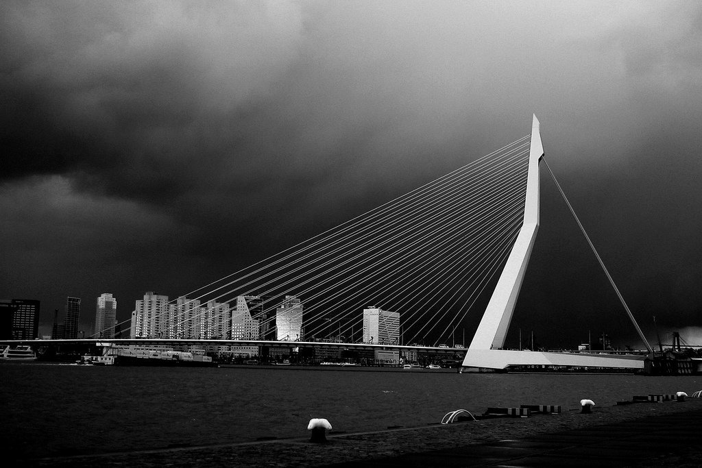 Erasmusbrug Rotterdam