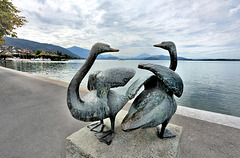 Au bord du lac de Zoug
