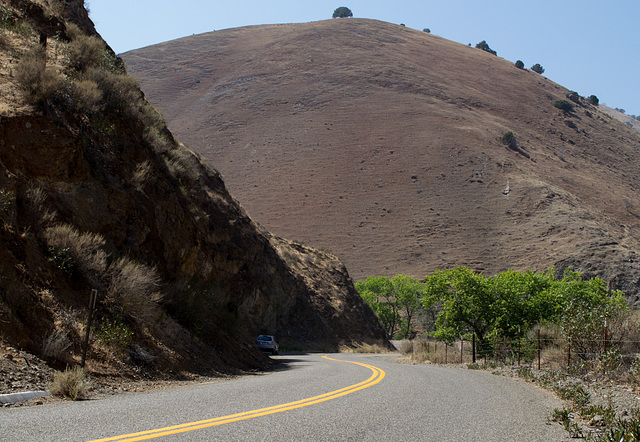 Stanislaus Del Puerto Canyon Rd (0586)