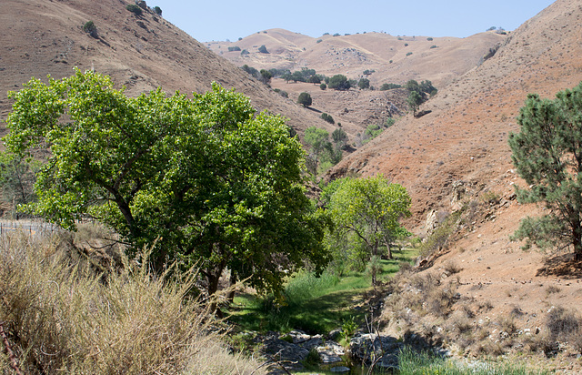 Stanislaus Del Puerto Canyon Rd (0583)