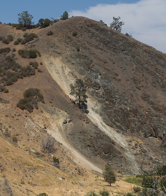 Stanislaus Del Puerto Canyon Rd (0581)