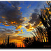 Another Pueblo Sunset