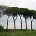 Parco dell'Appia Antica