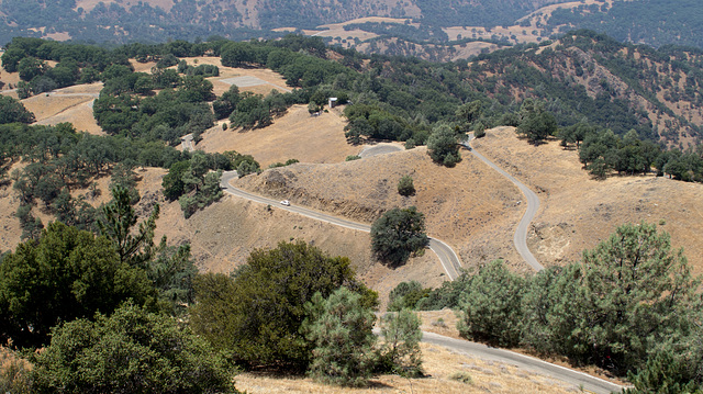 Mt Hamilton Rd Lick Observatory (0545)