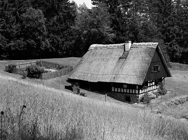 Black Forest idyll