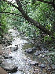 Creek after the "tropical storm"