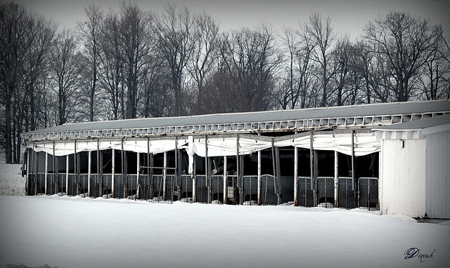 Sheds