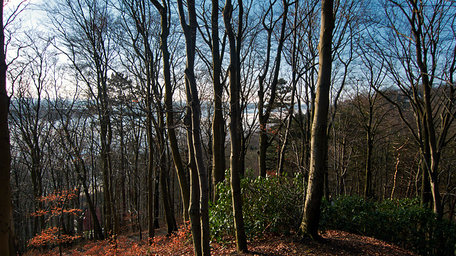 wald-1180149-co-02-02-14