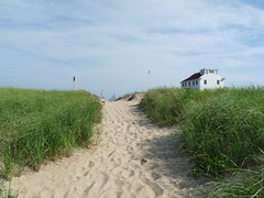 Race Point dunes