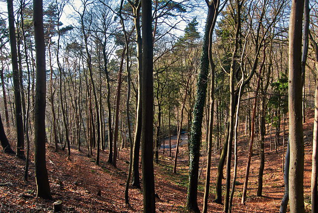 wald-1180151-co-02-02-14