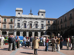 farmers' market