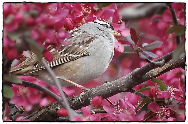 On a Spring day