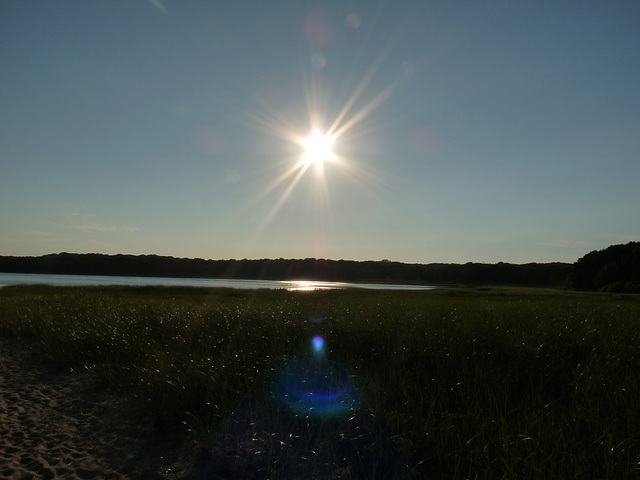 Coast Guard Beach