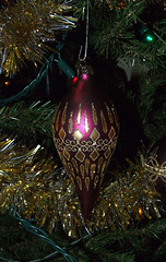 Ornament on Mom and Dad's Christmas Tree, December 2007