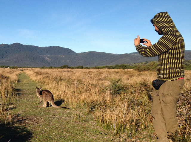 Juan and the wildlife