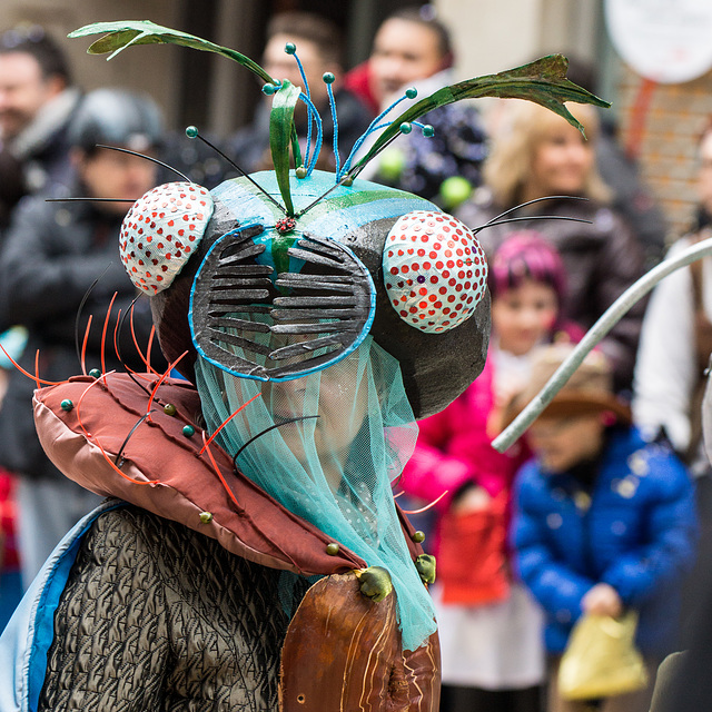 Solothurner Fastnacht