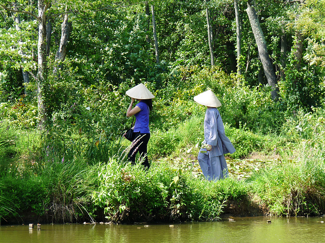 rice hats