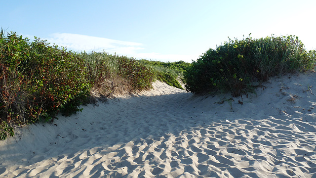 Coast Guard Beach