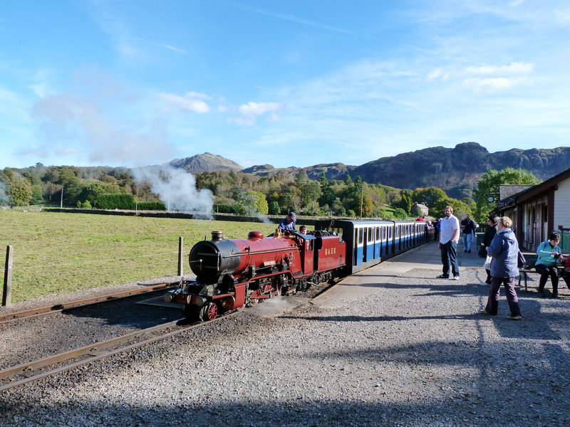 Mite at Dalegarth