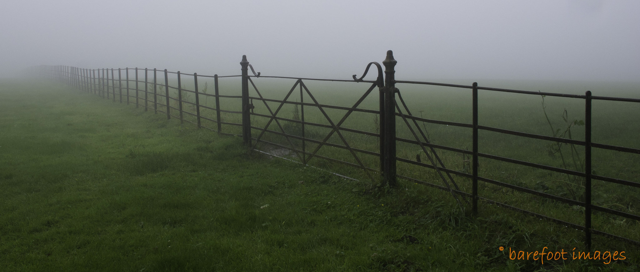 foggy fence