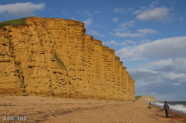 cliff at west bay