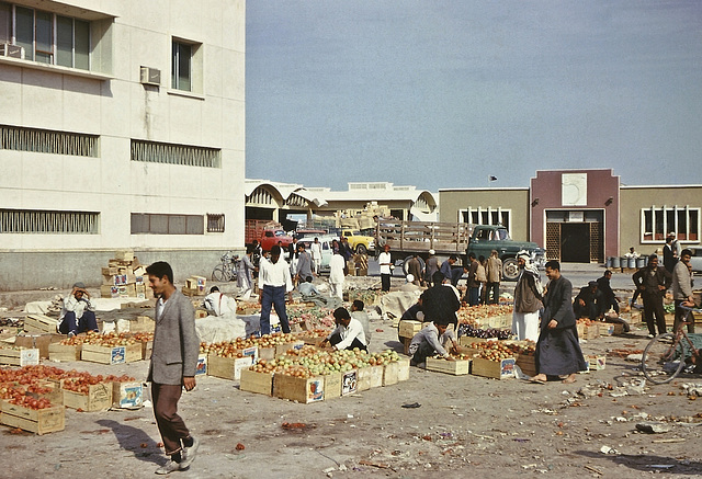 Tomato market in Doha suq, Qatar, 1967