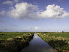 evening light on the marshes