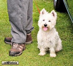 Ripon Autumn Classic 2012