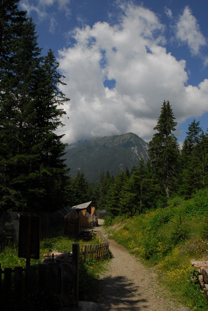 BOREON: Une superbe balade dans la parc ALPHA.