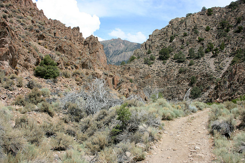 Horse Creek canyon