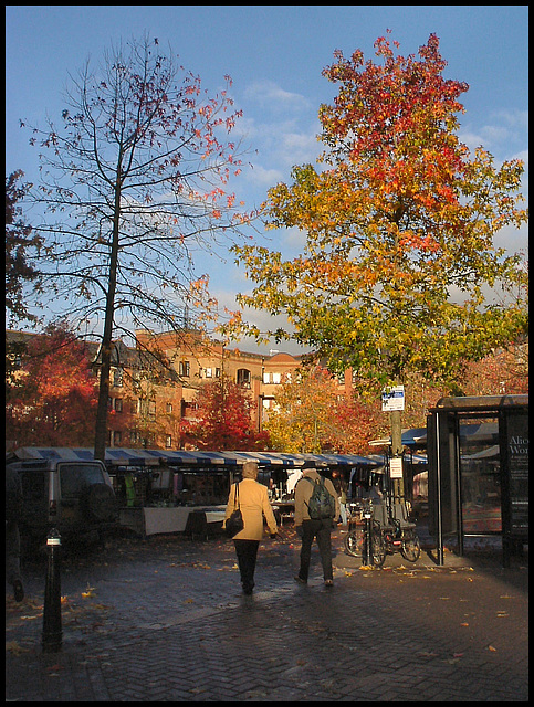 autumn at Gloucester Green