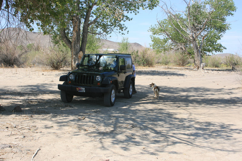 Jill & the Jeep