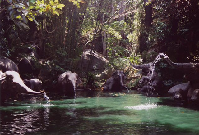 Elephants on the Jungle Cruise Ride in Disneyland, 2003