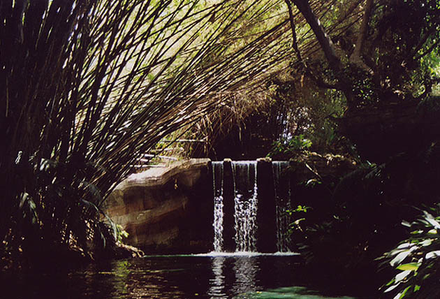 Waterfall on the Jungle Cruise Ride in Disneyland, 2003