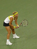 Lisicki