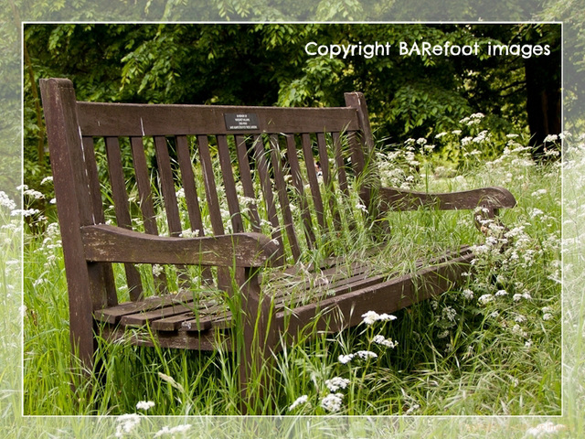 bench - kew gardens