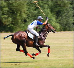 Polo (West Wycombe) (2)