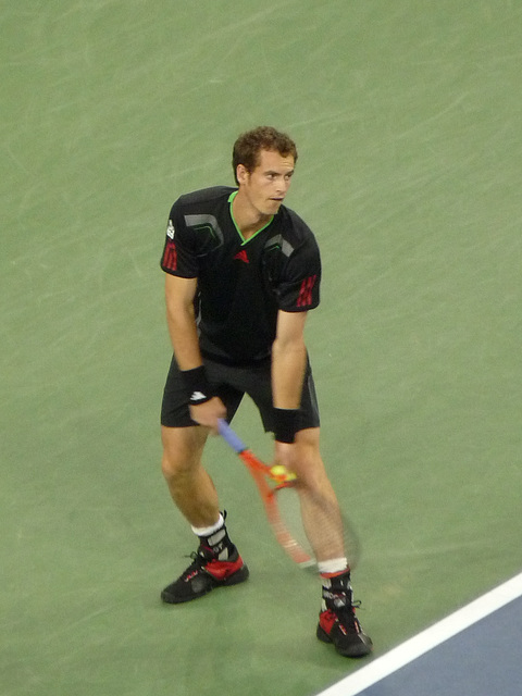 Murray