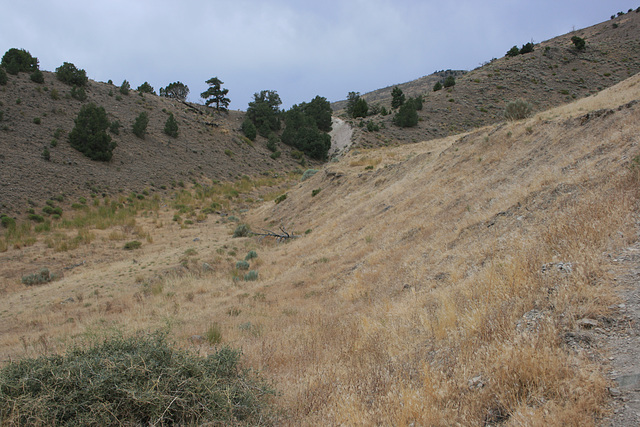 Fairview Peak Fault Scarp