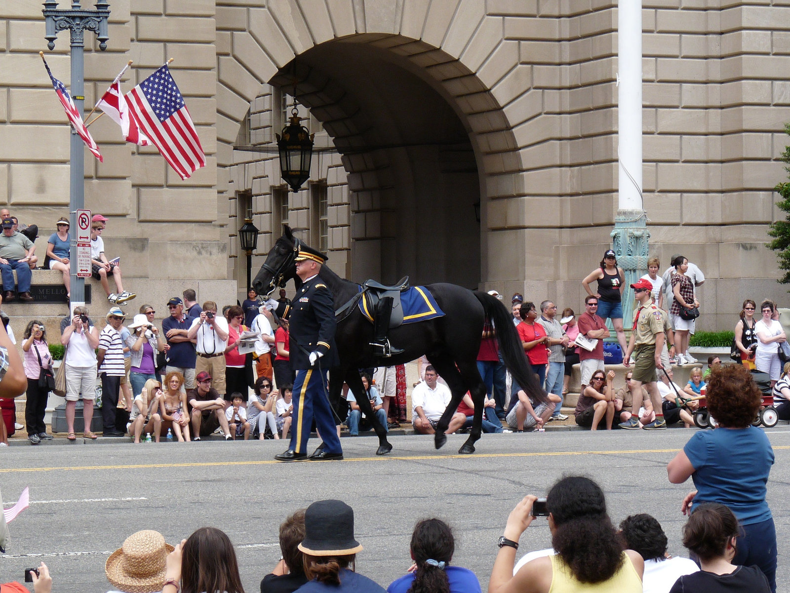 Riderless horse