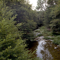 Maacama Creek